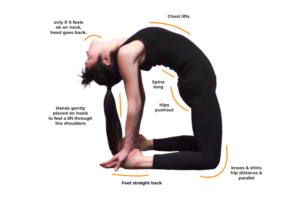Mastering Camel Pose: A Guide to&nbsp;Ustrasana