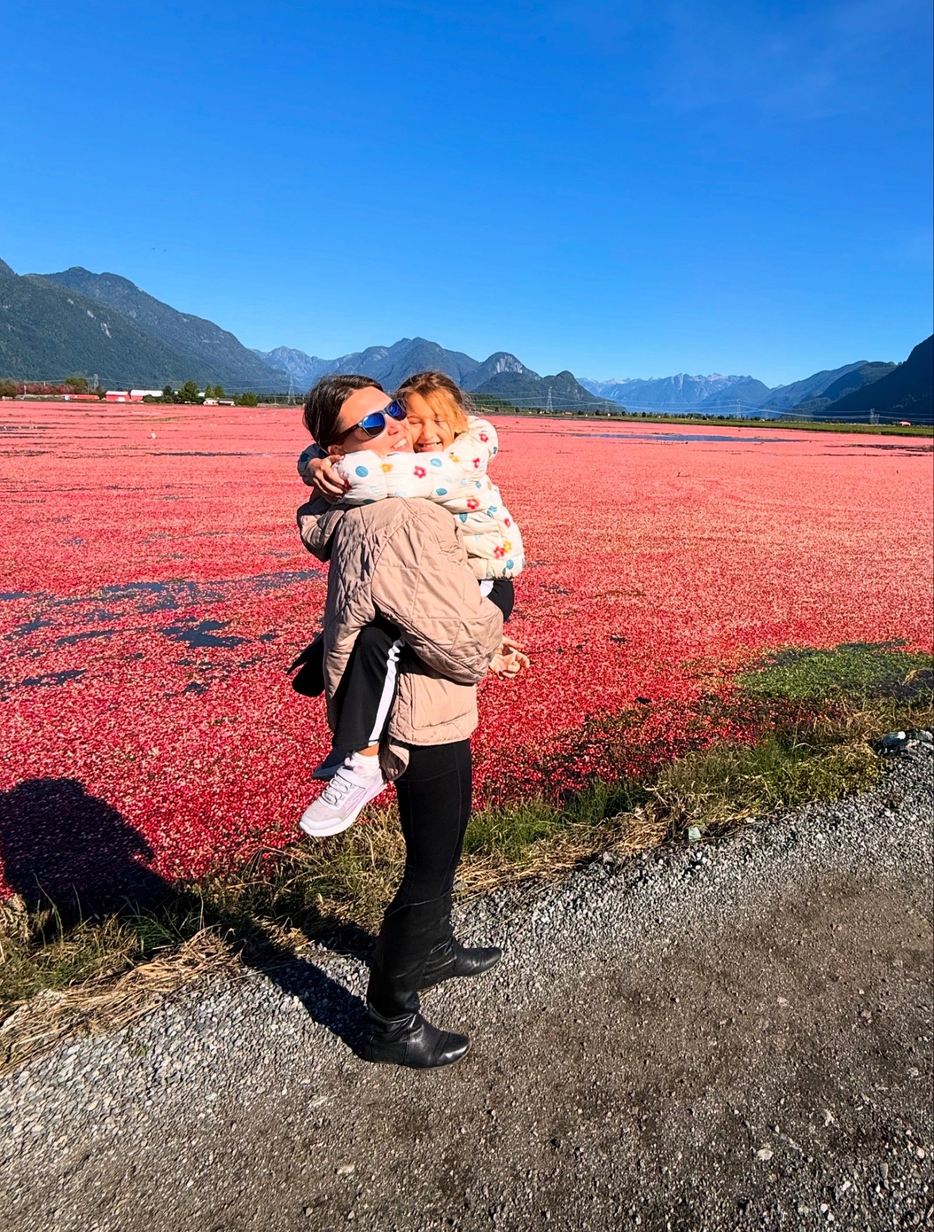 Discover the Power of Cranberries for Your Health