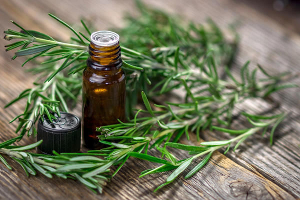 Rosemary Oil: A Natural Boost for Hair and Health